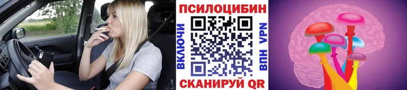 Псилоцибиновые грибы мухоморы Чадан